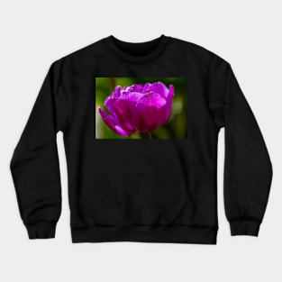 Tulip In Sunlight Crewneck Sweatshirt